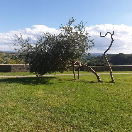 Le Buche Casa Storica Bed & Breakfast Canino