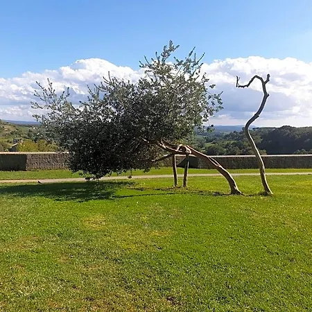 Bed & Breakfast Le Buche Casa Storica Canino