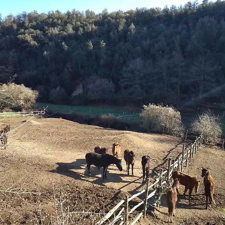 Bed & Breakfast Le Buche Casa Storica Canino